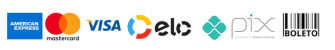 Métodos de recebimentos dos pagamentos dos serviços: boleto, pix, cartões de crédito e débito visa, mastercard, elo, america express